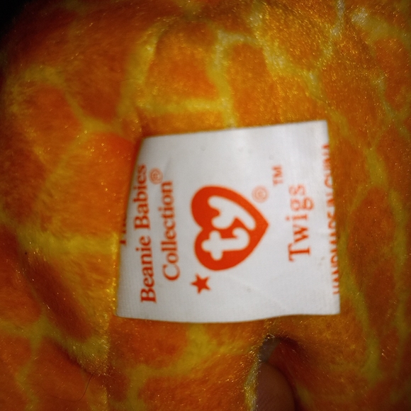 Ty Twigs - Picture 3 of 4